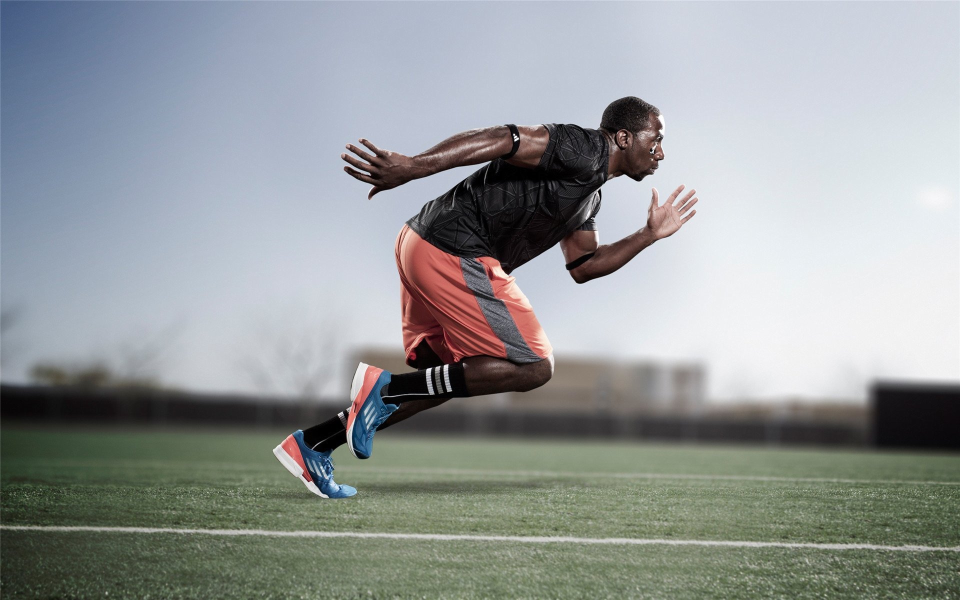 CBA季后赛激战正酣 辽宁本钢力克广东华南虎挺进总决赛